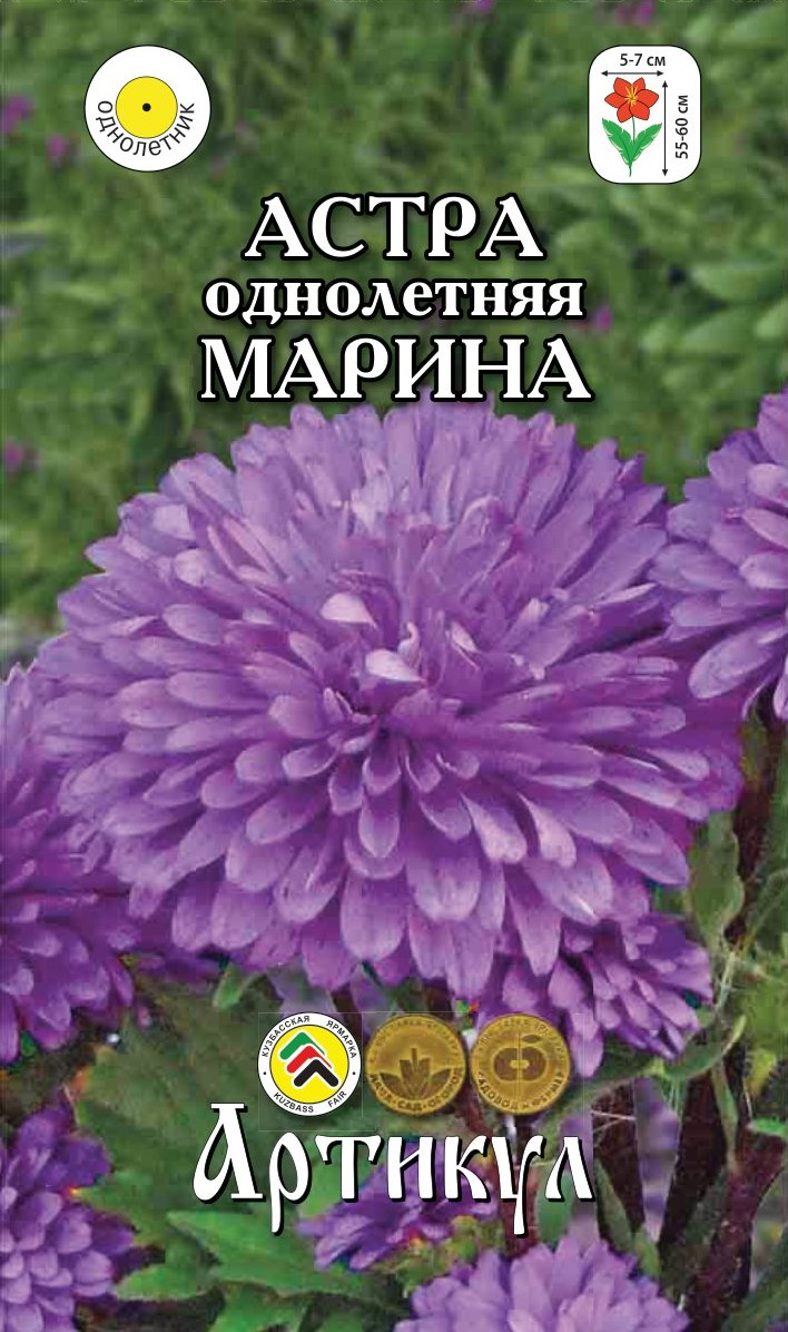 Семена Артикул Астра однолетняя Марина, 10г купить с доставкой на дом, цены  в интернет-магазине