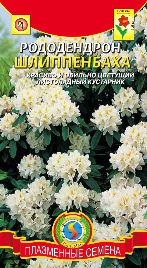 Рододендроны Русский огород в ассортименте, 250г