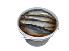 Сельдь Олива атлантическая слабосоленая