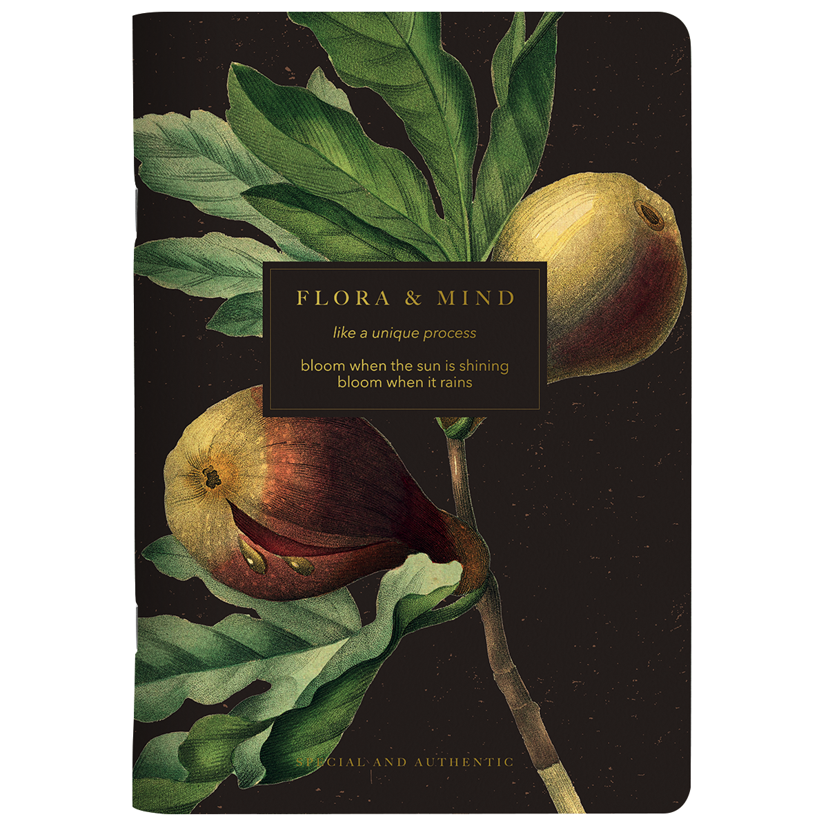 Изображение товара Тетрадь общая Be Smart Flora Инжир в клетку А5, 40 листов