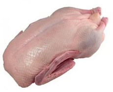 Тушка Уточка Свежая утки