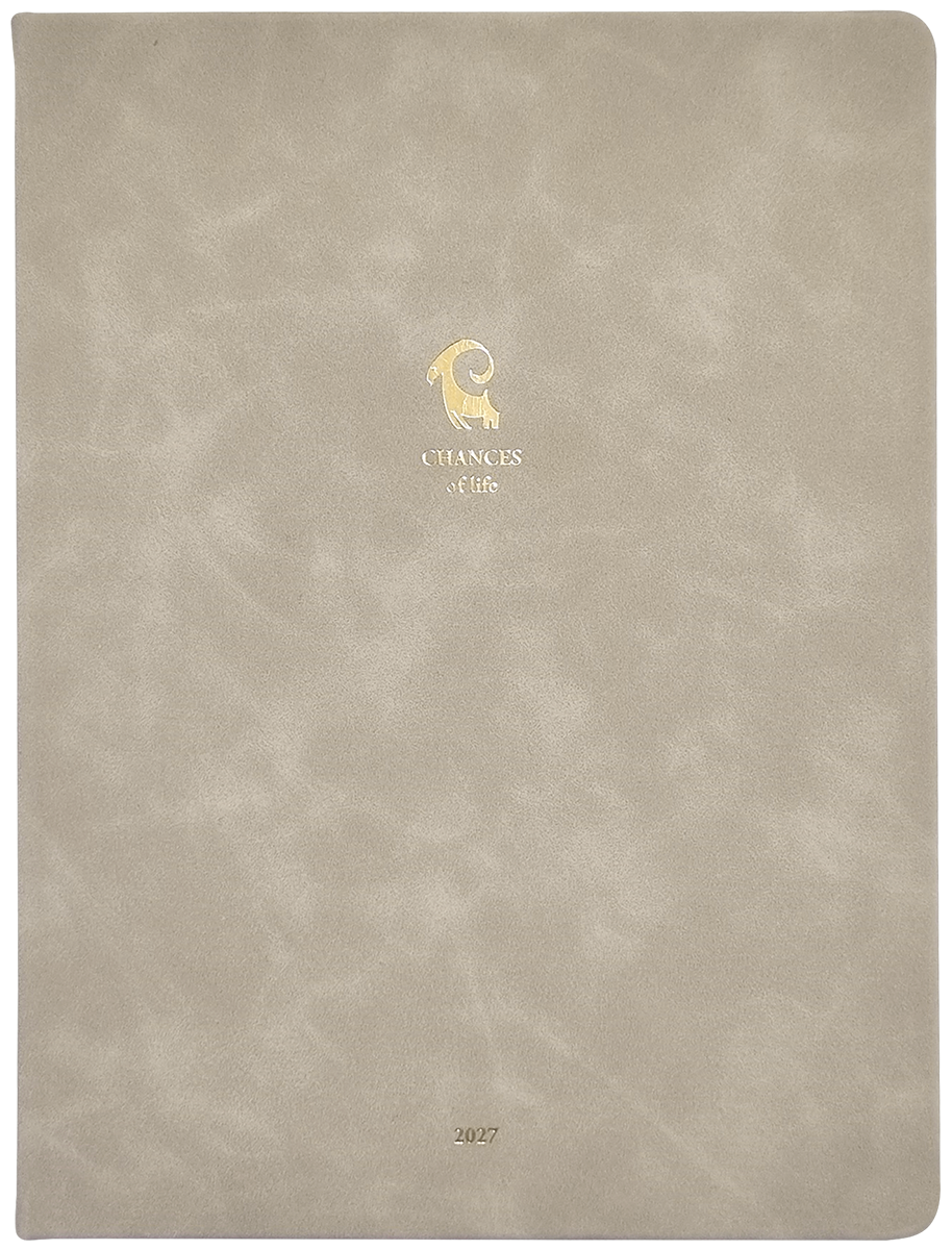 Еженедельник датированный Infolio Chance 19 x 25см, 176 страниц