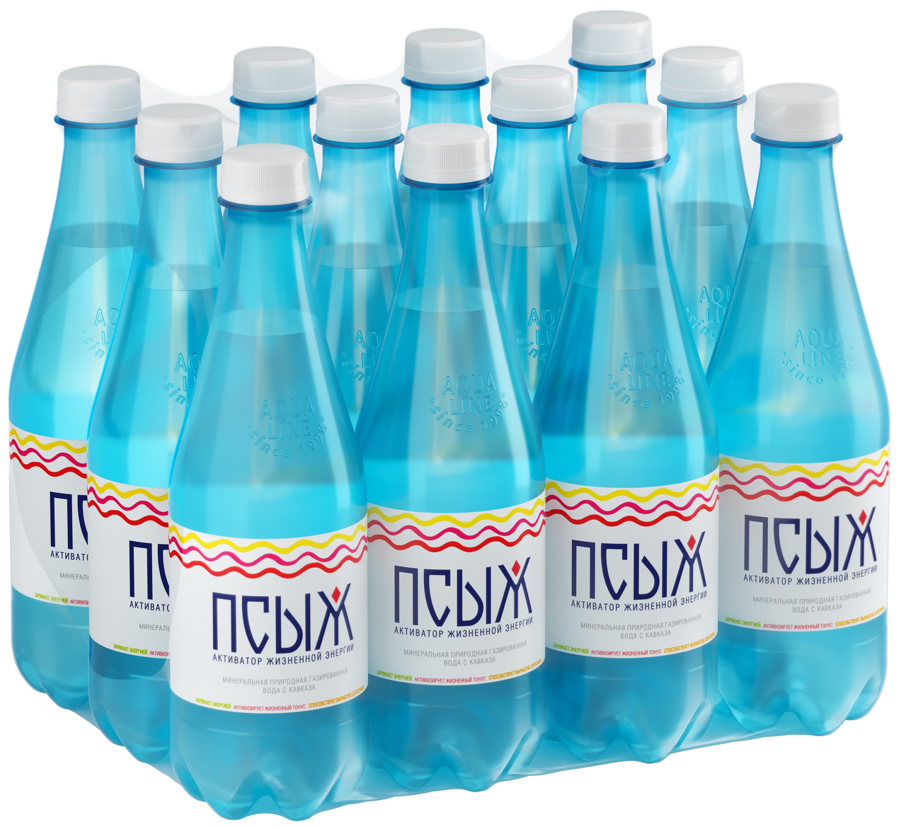 Вода Псыж минеральная природная лечебно-столовая газированная, 500мл x 12 шт