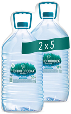 Вода Черноголовка природная питьевая негазированная, 5л x 2 шт