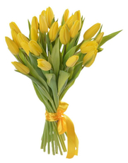 Букет тюльпаны ЕТК 25шт