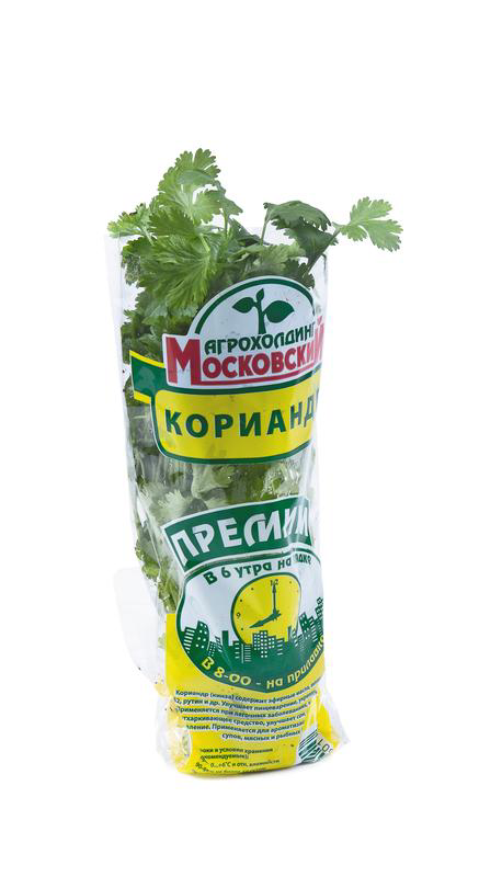 Кориандр МОСКОВСКИЙ в горшочке премиум