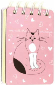 Блокнот Bruno Visconti А7 на спирали, 108 листов