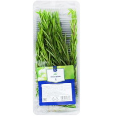 METRO Chef Розмарин, 50г