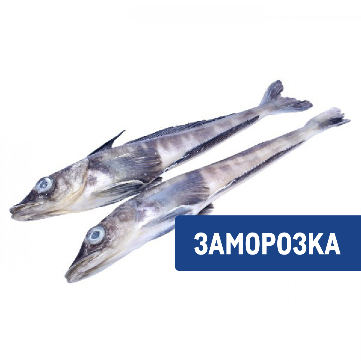 Рыба ледяная, 600г