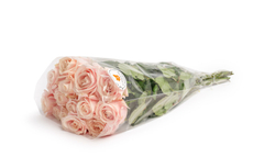 Букет моно Роза 60см, 15 стеблей цветовая палитра в ассортименте