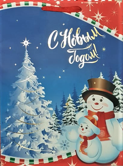 Сумка бумажная тисненая As, 20 x 24 x 11см