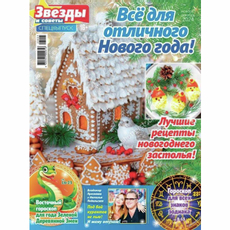 Журнал ТДС Звезды и советы Все для отличного Нового года