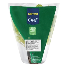 METRO Chef Салат Дуболистный зеленый в горшочке, 75г