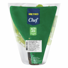 METRO Chef Салат Дуболистный зеленый в горшочке, 75г