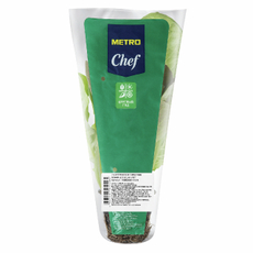 METRO Chef Салат Ромэн в горшочке, 75г