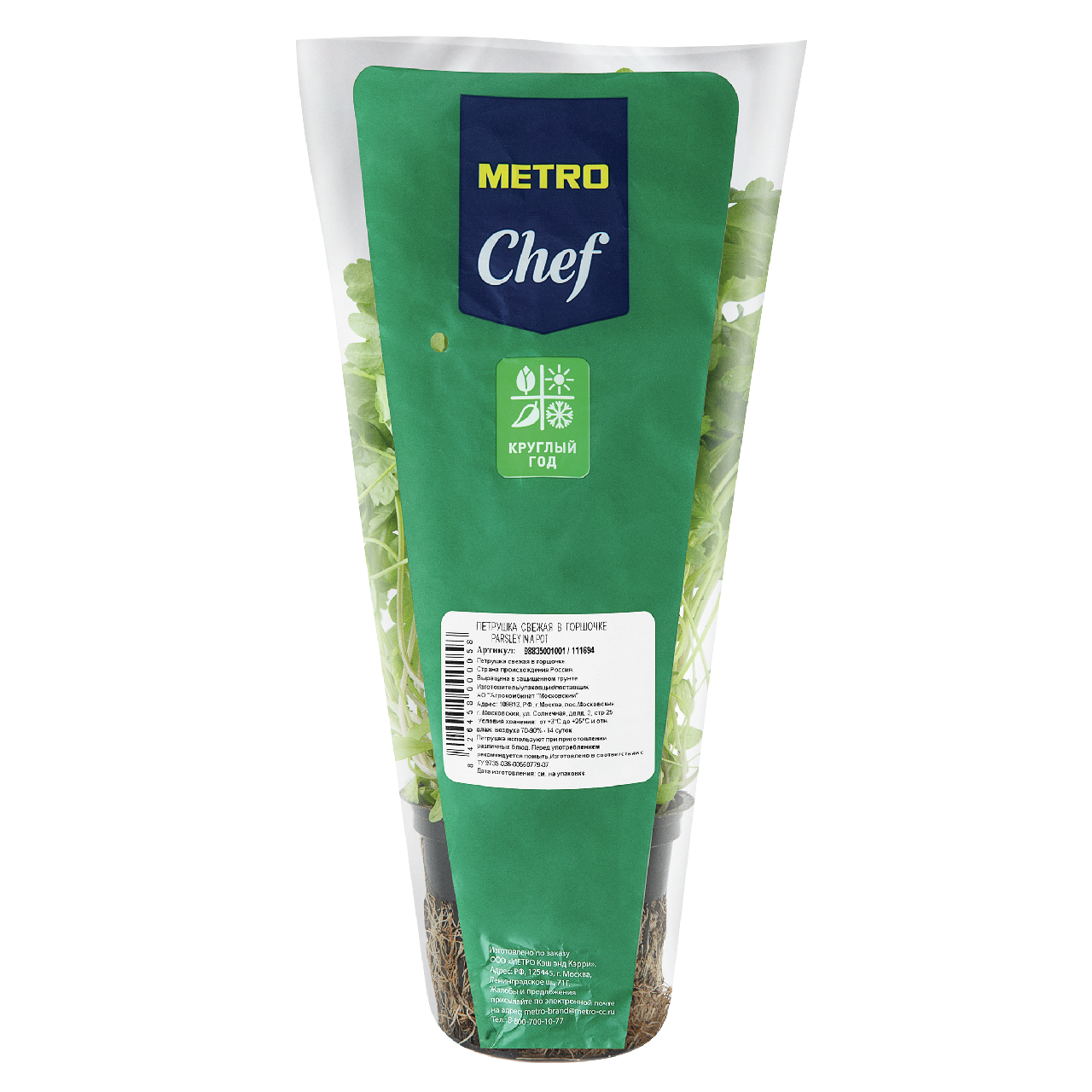 METRO Chef Петрушка свежая в горшочке, 20г