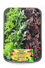 Салат Пучок Свежачок, 150г